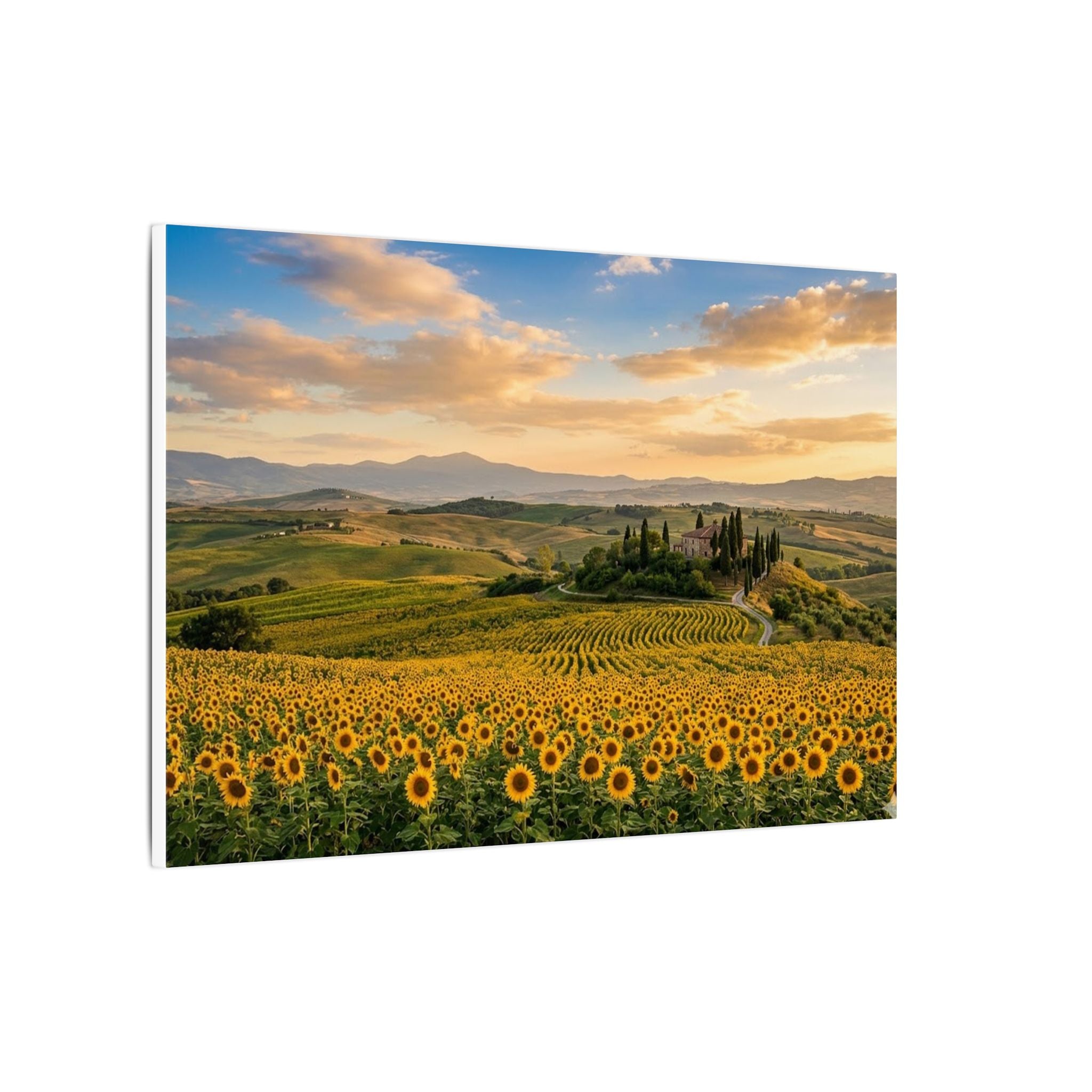 Tuscan Sunflower Canvas Wall Art - Italy Summer Print, Golden Field, Mediterranean Decor, Stretched Canvas