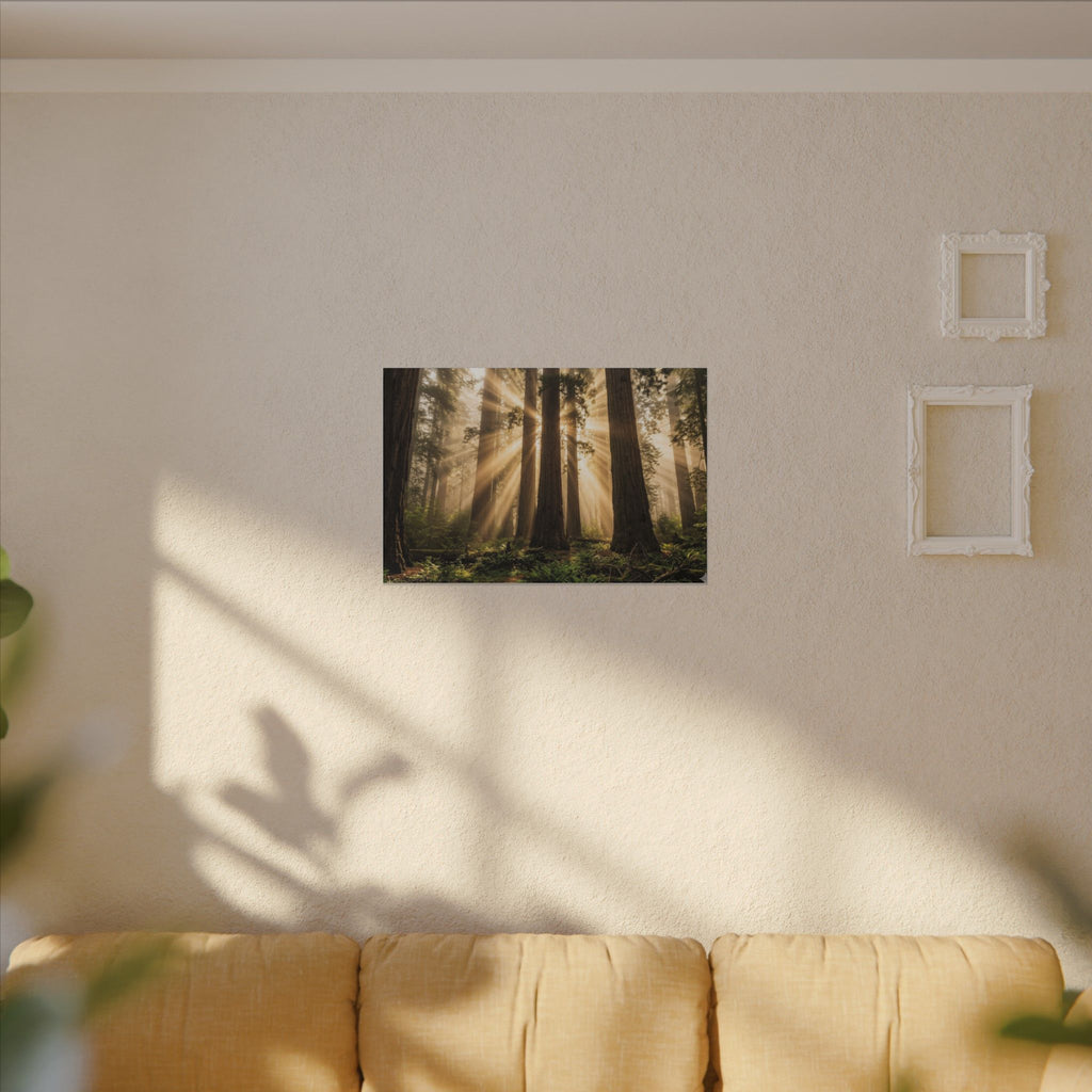 Sequoia Forest Canvas Wall Art - Giant Tree Print, Sunbeam Nature, Forest Decor, Stretched Canvas