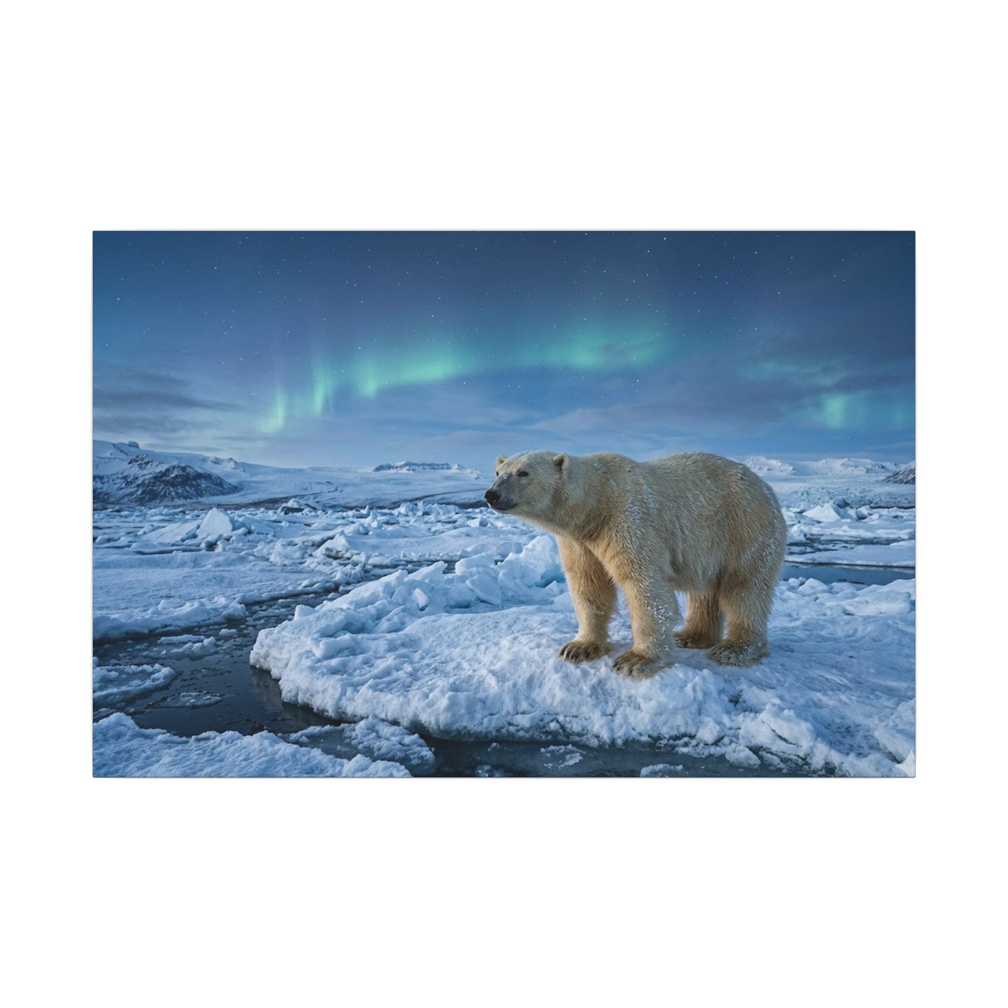 Polar Bear Canvas Wall Art - Arctic Wildlife Print, Snow Landscape, Nature Photography, Stretched Canvas