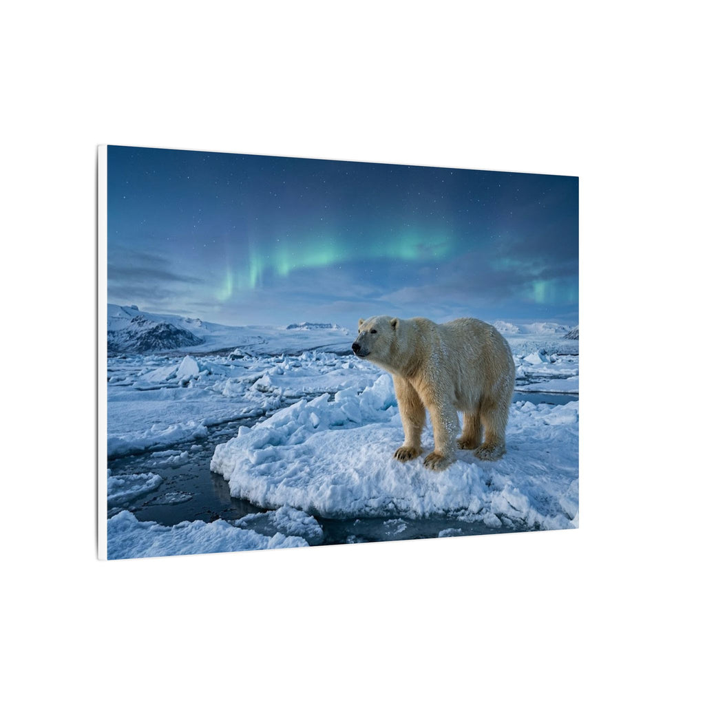 Polar Bear Canvas Wall Art - Arctic Wildlife Print, Snow Landscape, Nature Photography, Stretched Canvas