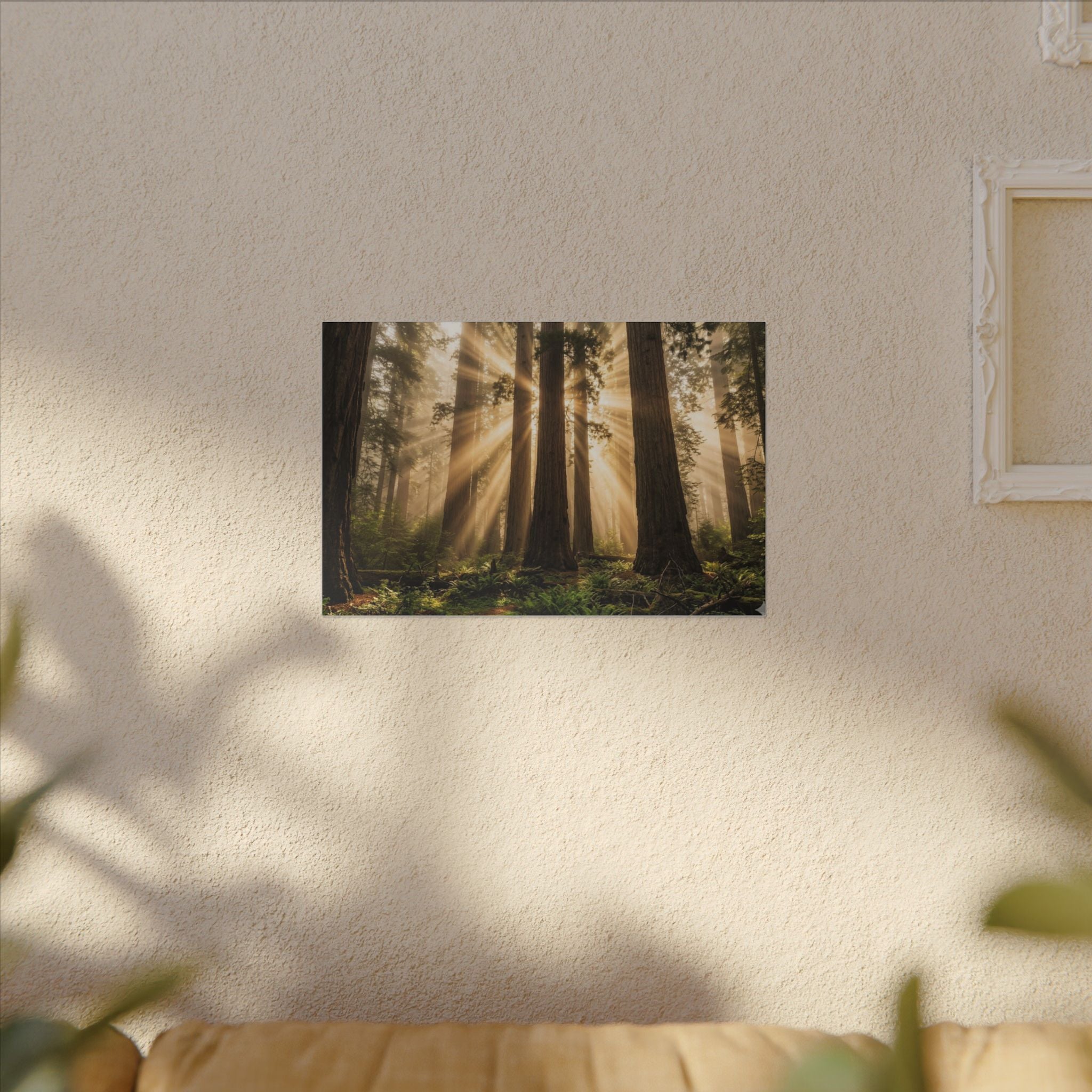 Sequoia Forest Canvas Wall Art - Giant Tree Print, Sunbeam Nature, Forest Decor, Stretched Canvas