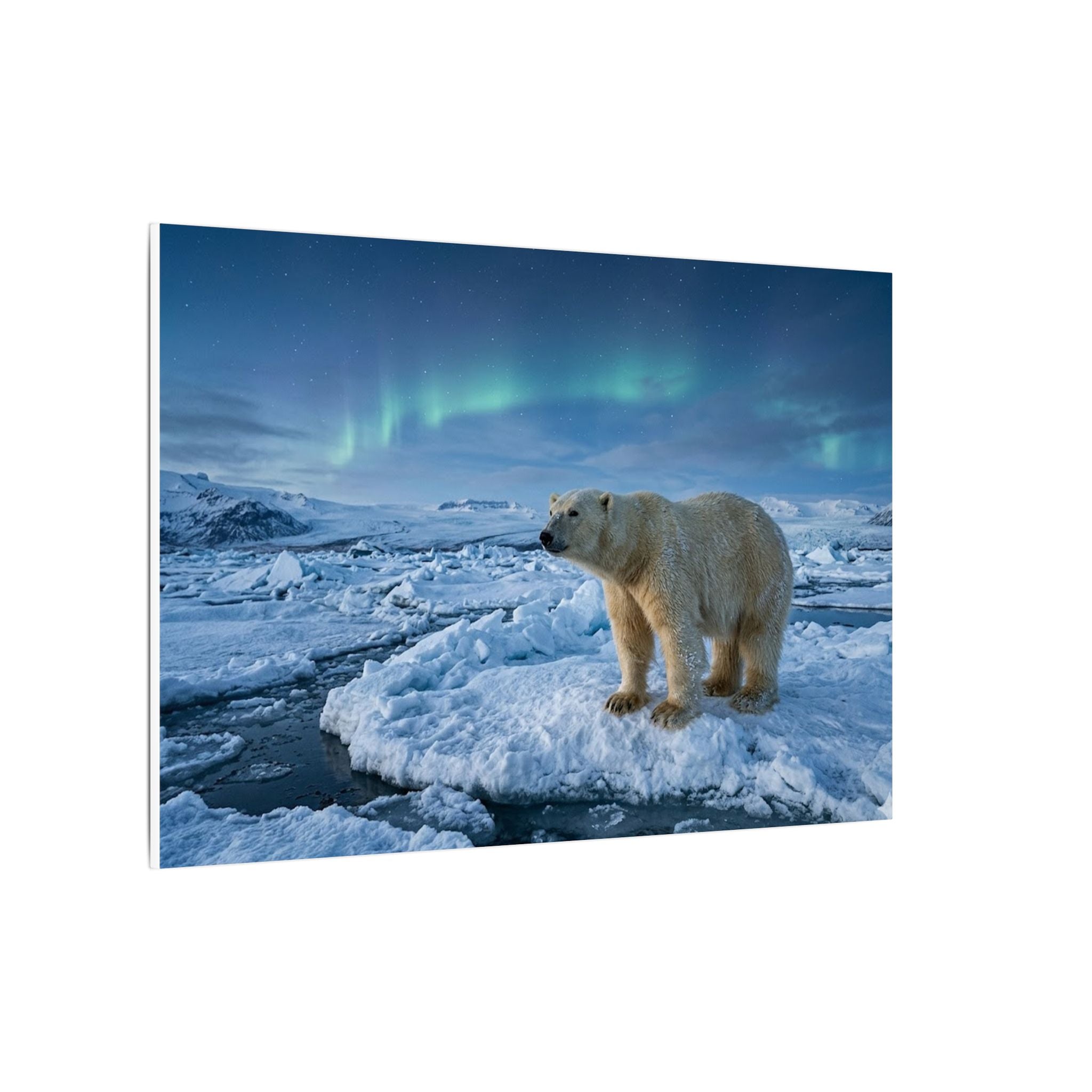 Polar Bear Canvas Wall Art - Arctic Wildlife Print, Snow Landscape, Nature Photography, Stretched Canvas