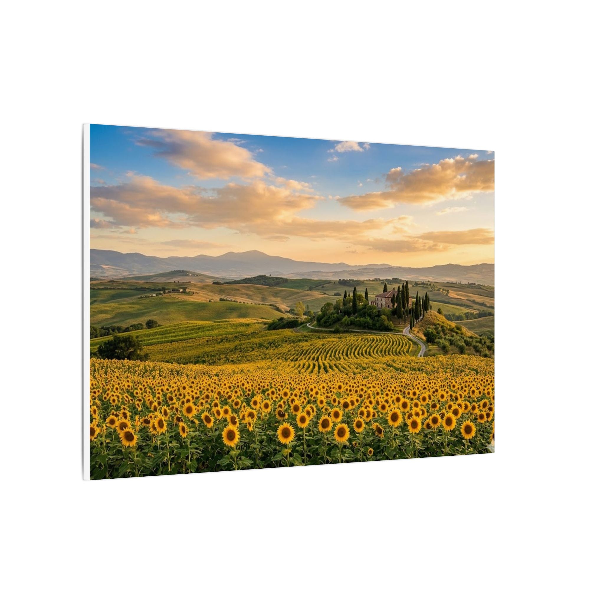 Tuscan Sunflower Canvas Wall Art - Italy Summer Print, Golden Field, Mediterranean Decor, Stretched Canvas