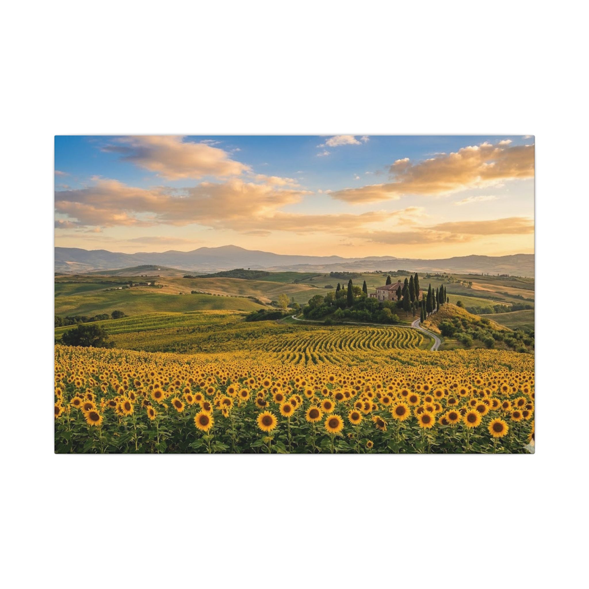 Tuscan Sunflower Canvas Wall Art - Italy Summer Print, Golden Field, Mediterranean Decor, Stretched Canvas