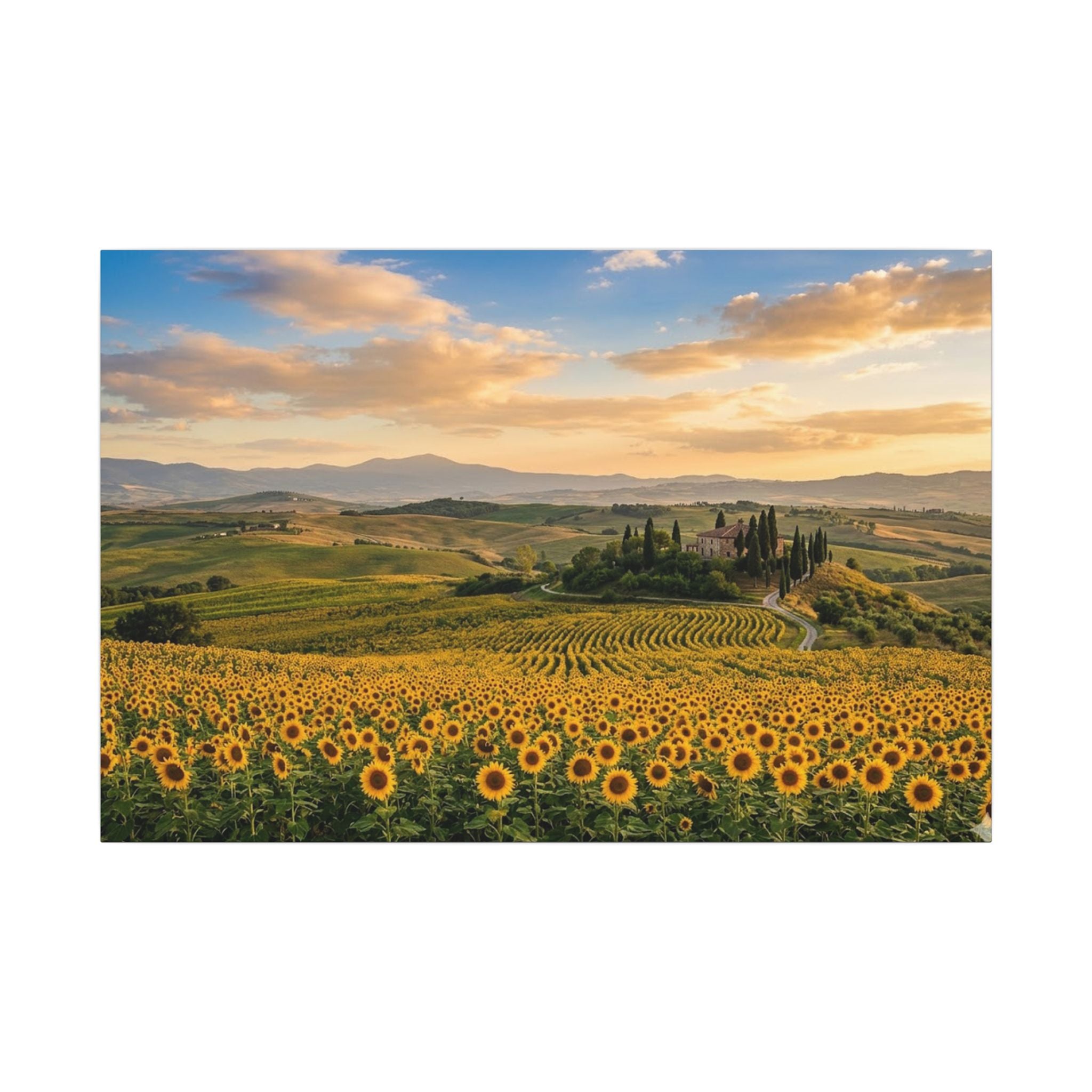 Tuscan Sunflower Canvas Wall Art - Italy Summer Print, Golden Field, Mediterranean Decor, Stretched Canvas
