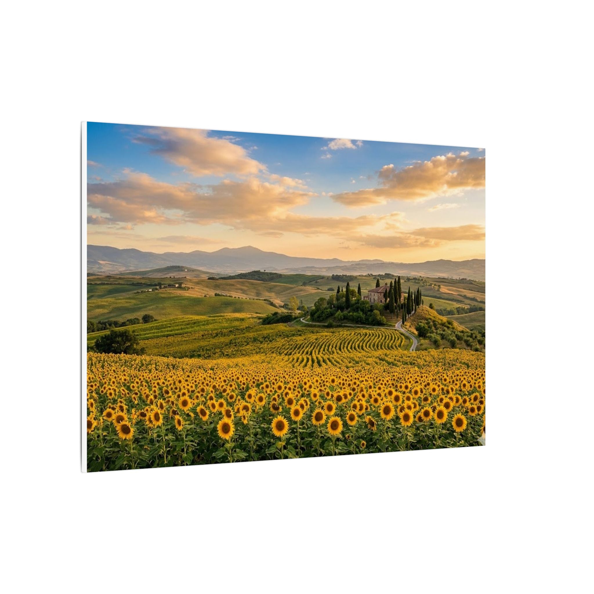 Tuscan Sunflower Canvas Wall Art - Italy Summer Print, Golden Field, Mediterranean Decor, Stretched Canvas
