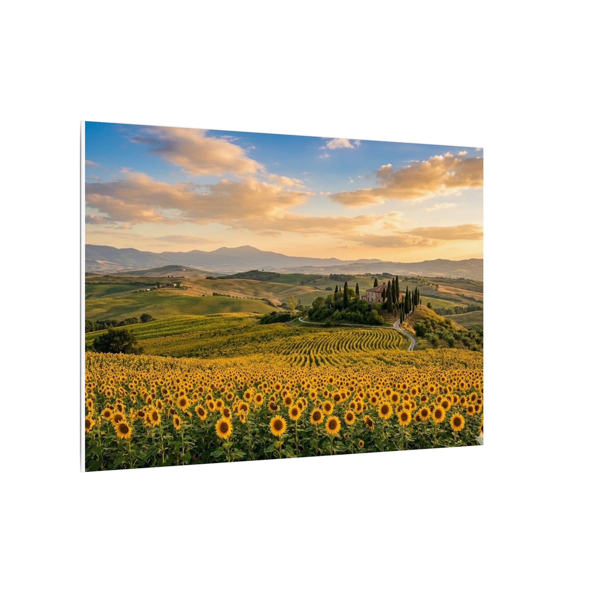 Tuscan Sunflower Canvas Wall Art - Italy Summer Print, Golden Field, Mediterranean Decor, Stretched Canvas