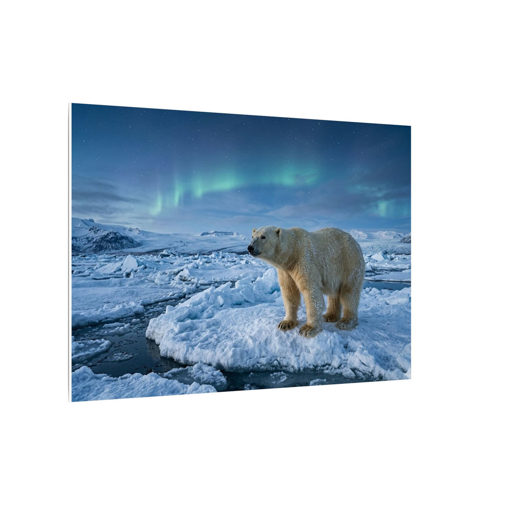 Polar Bear Canvas Wall Art - Arctic Wildlife Print, Snow Landscape, Nature Photography, Stretched Canvas