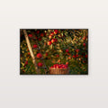 Apple Orchard Canvas Wall Art | Ladder Basket Still Life Print, New England Fall Decor, Stretched Canvas — apple-orchard-ladder-basket-canvas-print.jpg