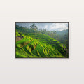 Tegalalang Rice Terraces Canvas Wall Art | Bali Indonesia Print, Tropical Asian Decor, Stretched Canvas — bali-tegalalang-rice-canvas-print.jpg