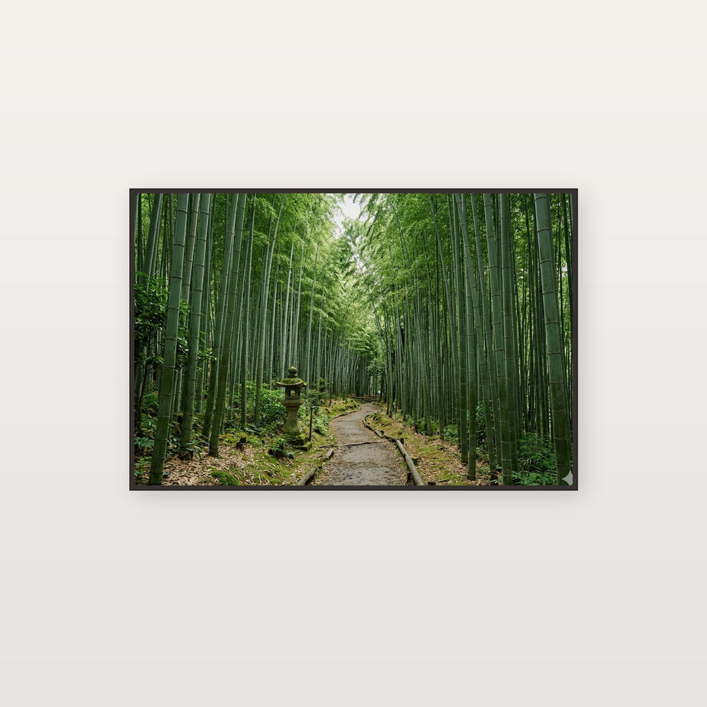 Bamboo Forest Canvas Wall Art - Kyoto Japan Print, Zen Nature, Japanese Decor, Stretched Canvas — bamboo forest kyoto canvas print