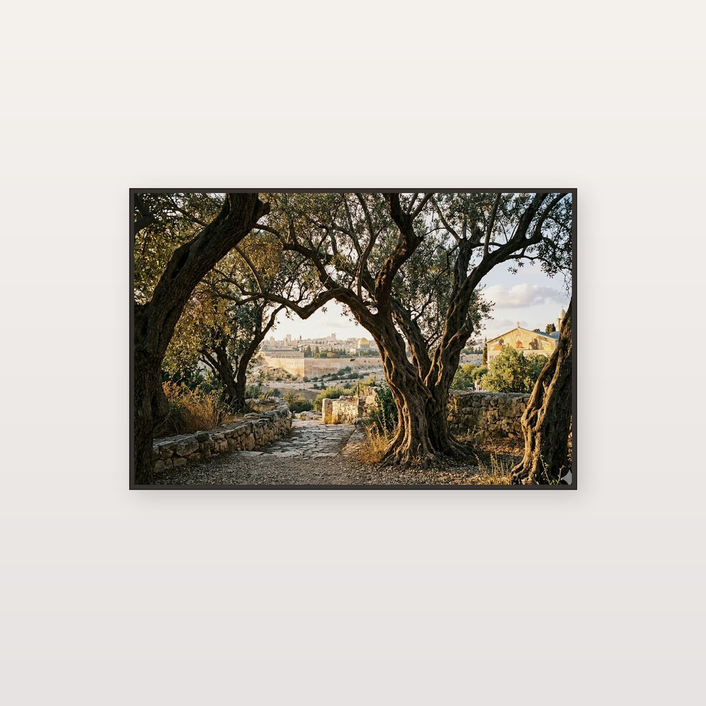 Garden of Gethsemane Canvas Wall Art - Ancient Olive Trees Print, Holy Land, Sacred Decor, Stretched Canvas — bible olive garden canvas print