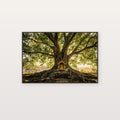 Bodhi Tree Canvas Wall Art - Sacred Fig Print, Enlightenment, Buddhist Art, Stretched Canvas — buddha tree bodhi canvas print