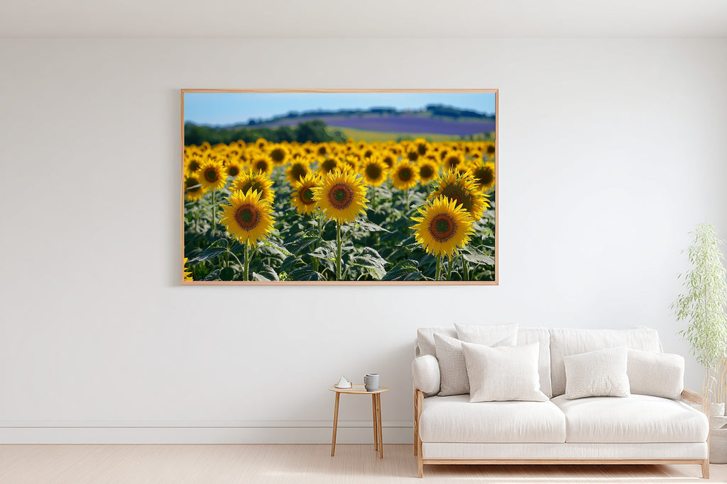 Butter Yellow Provence Sunflower Field Wall Art Canvas, Whimsical Nursery Illustration Statement Piece, Kids Bedroom Statement Piece — butter-yellow-provence-sunflower-field-bedroom-wall-art.jpg