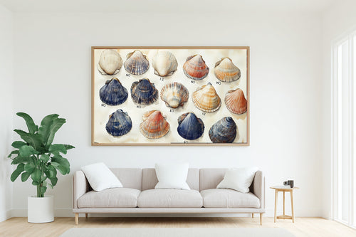 A Dreamy Coastal Shell Collection Blue White Dreamy Tropical Print — Soulful Wall Art for the Sunroom, Giclée on Canvas — coastal-shell-collection-blue-white-living-room-wall-art.jpg