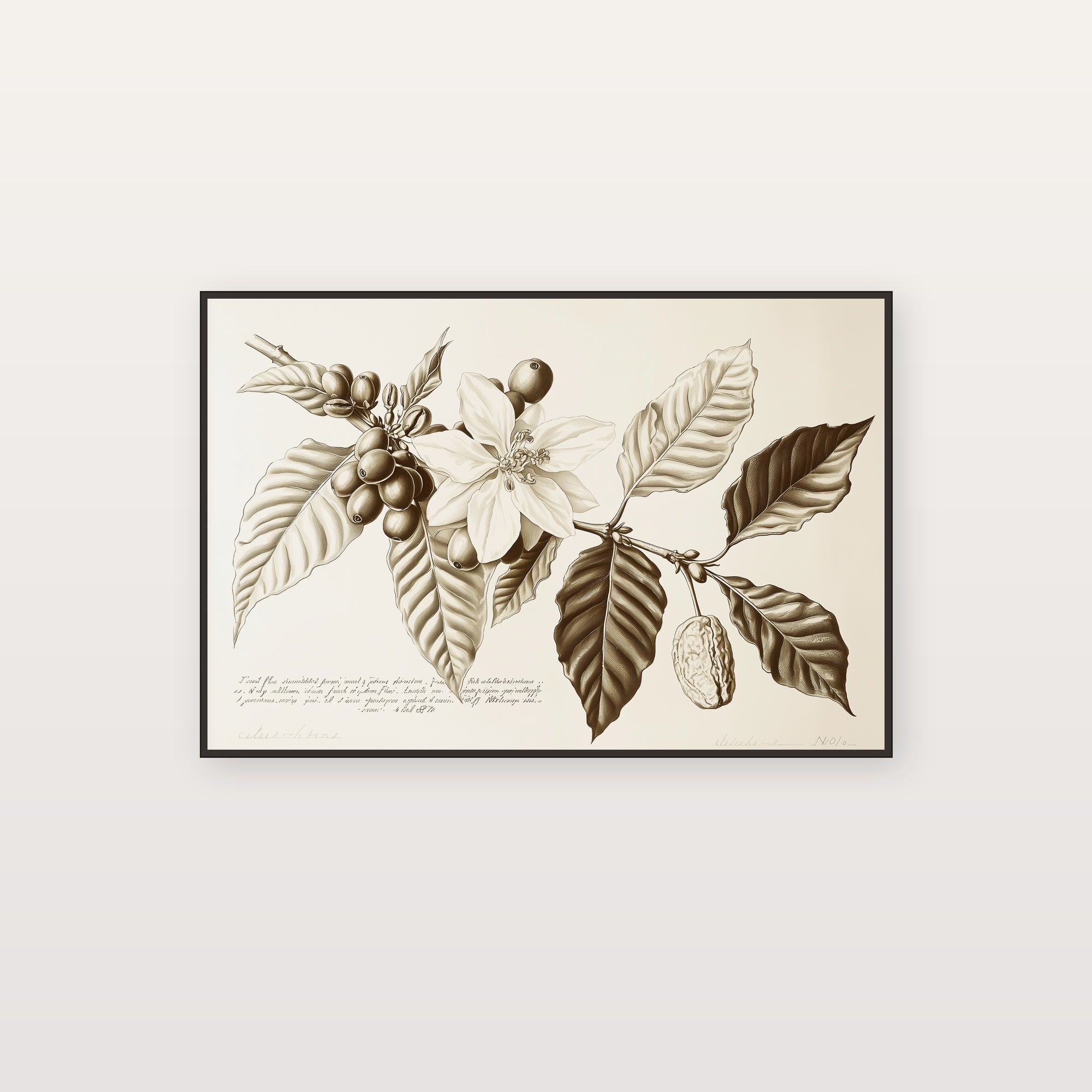 Coffee Plant Canvas Wall Art | Botanical Stages Print, Vintage Cafe Decor, Stretched Canvas — coffee-plant-stages-botanical-canvas-print.jpg