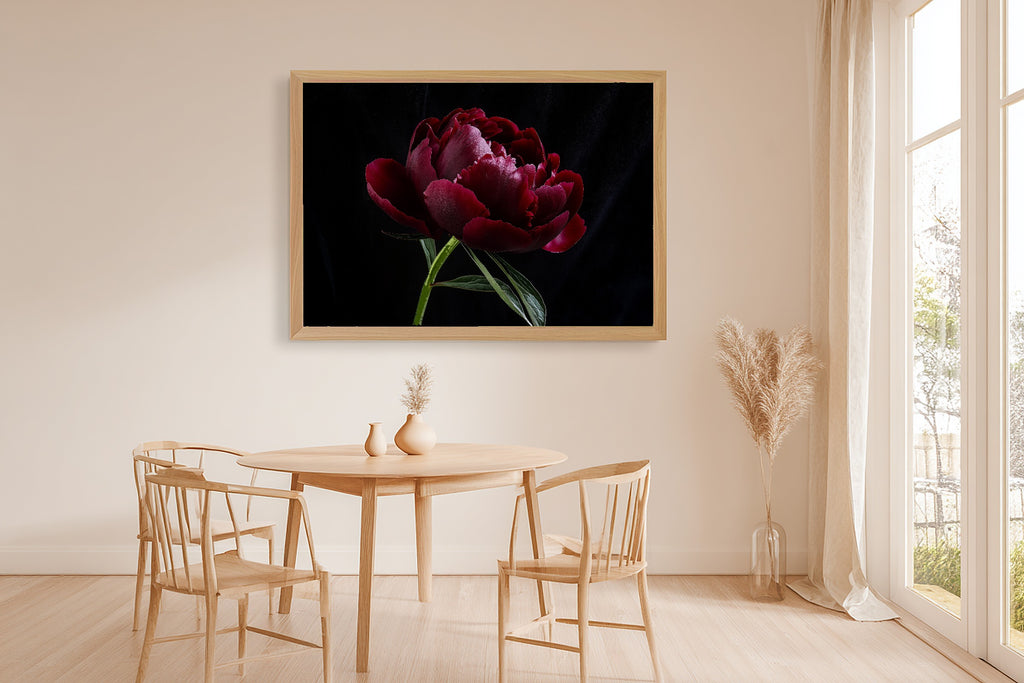 Soft Painterly Dark Peony Moody Floral Art Print — Timeless Decor for the Living Room, Stretched Canvas the Art Lover in Your Life Will Love — dark-peony-moody-floral-dining-room-wall-art.jpg
