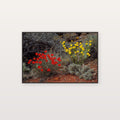 Desert Bloom Canvas Wall Art | Ocotillo Prickly Pear Print, Southwest Botanical Decor, Stretched Canvas — desert-bloom-ocotillo-canvas-print.jpg