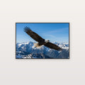 Eagle Mountain Canvas Wall Art - Bald Eagle Print, Wildlife Photography, Majestic Bird, Stretched Canvas — eagle mountain flight canvas print