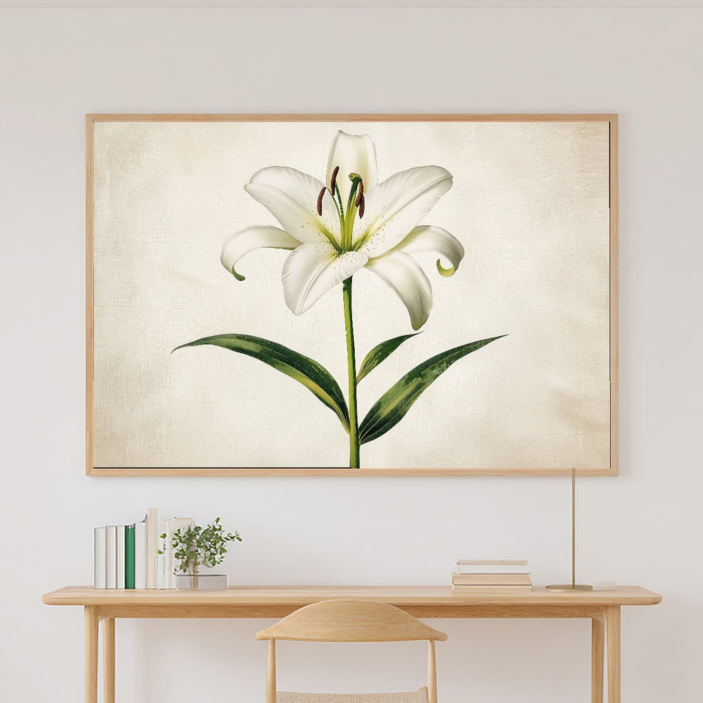 Hazy Tidal Easter Lily Botanical Plate Art Print — Timeless Decor for the Beach House, Stretched Canvas the Coastal Soul Will Love — easter-lily-botanical-plate-canvas-print.jpg