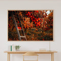 Soft Tidal Fall Apple Orchard Ladder Painterly — Dreamy Seaside Wall Art, Warm Beach House Decor, Stretched Canvas, Ready to Hang — fall-apple-orchard-ladder-painterly-canvas-print.jpg