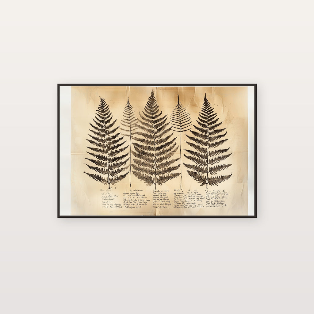 Fern Species Canvas Wall Art | Sepia Botanical Study Print, Victorian Naturalist Decor, Stretched Canvas — fern-species-sepia-study-canvas-print.jpg