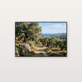 Greek Olive Grove Canvas Wall Art - Mediterranean Print, Ancient Trees, European Decor, Stretched Canvas — greek olive grove canvas print