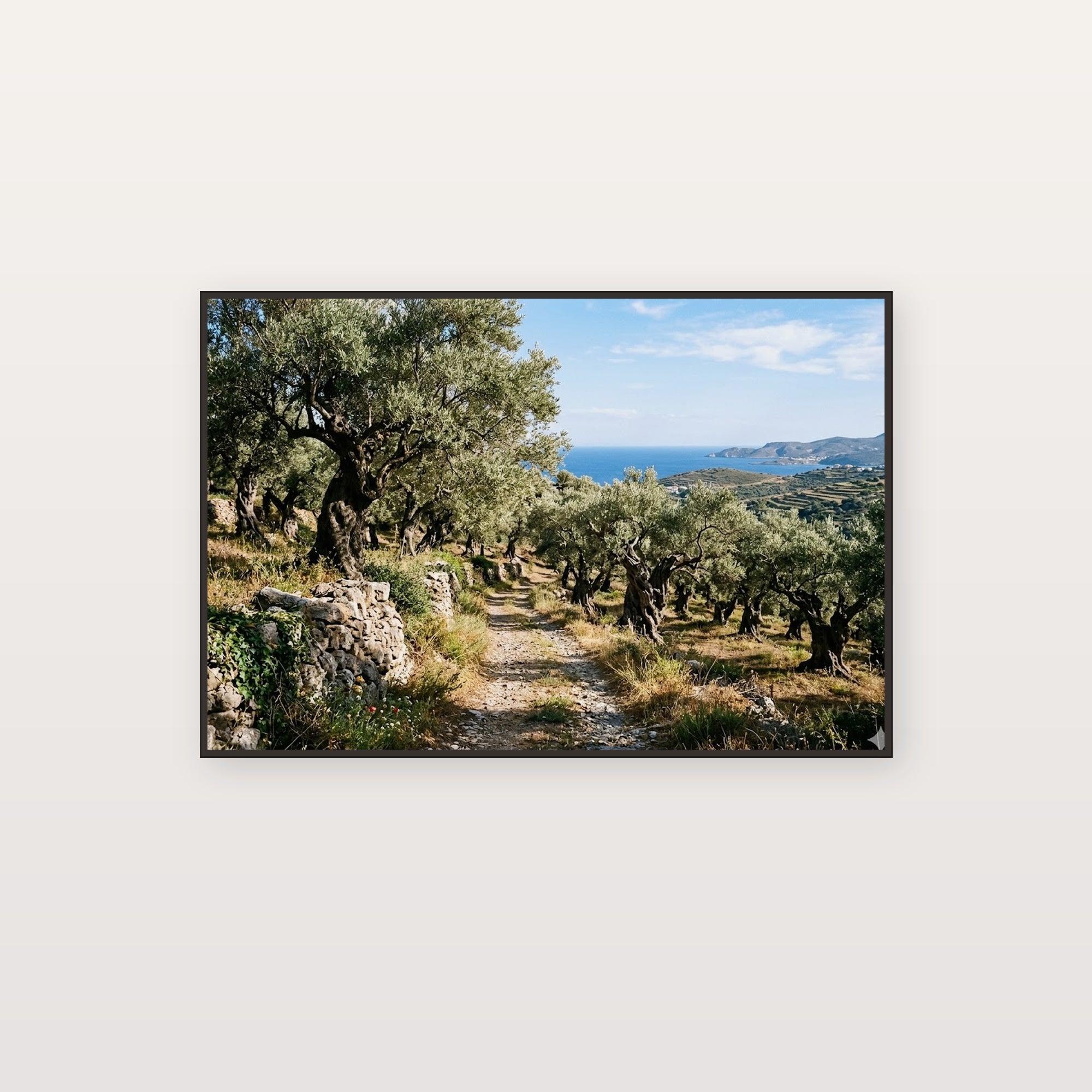 Greek Olive Grove Canvas Wall Art - Mediterranean Print, Ancient Trees, European Decor, Stretched Canvas — greek olive grove canvas print