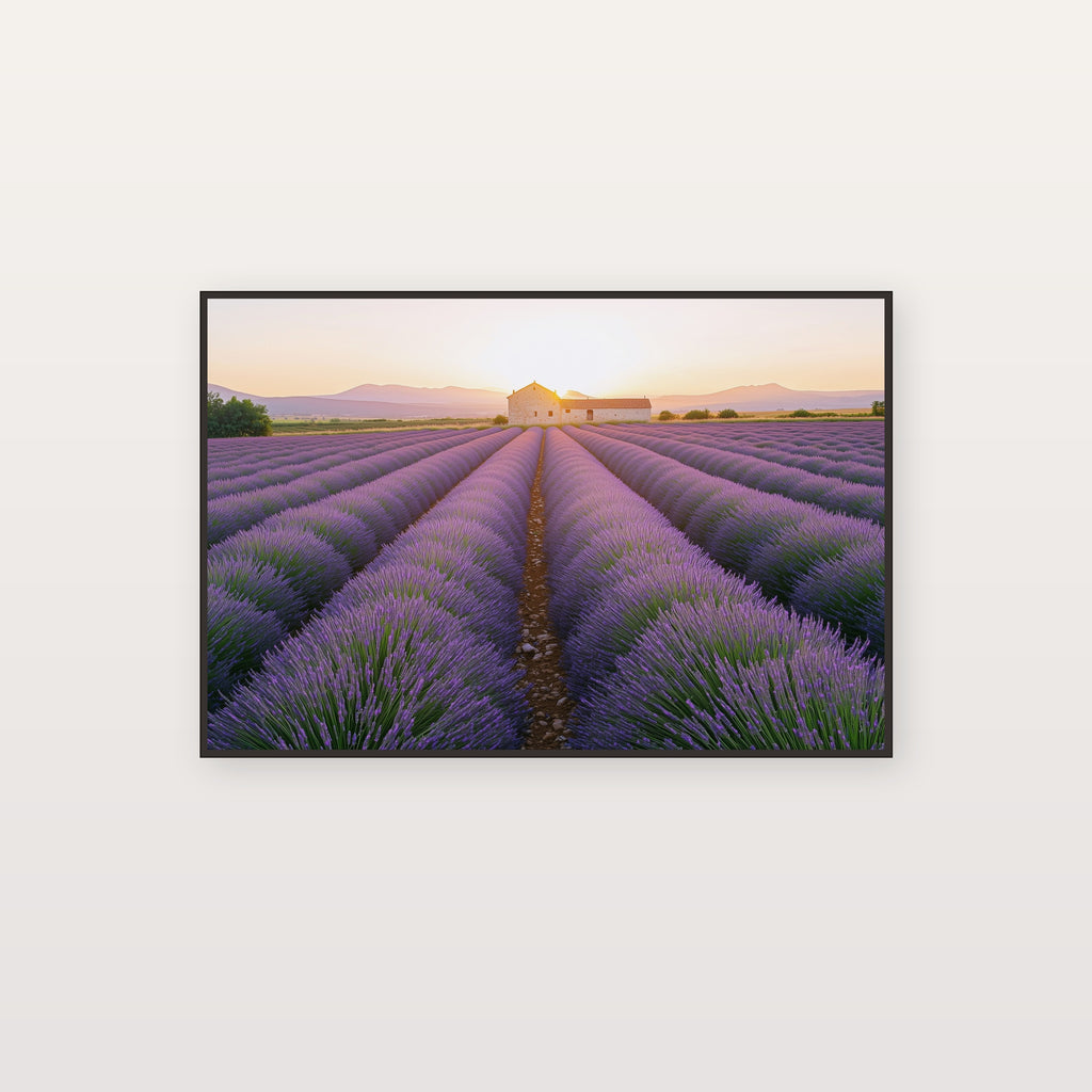 Lavender Field Canvas Wall Art | Provence France Sunset Print, Botanical Decor, Stretched Canvas — lavender-field-sunset-canvas-print.jpg