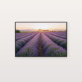 Lavender Field Canvas Wall Art | Provence France Sunset Print, Botanical Decor, Stretched Canvas — lavender-field-sunset-canvas-print.jpg