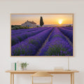 Hand-picked Lavender Provence Sunset Giclée Print — Stunning Romantic Old-World for the Dining Room — lavender-provence-sunset-canvas-print.jpg