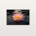Sacred Lotus Canvas Wall Art - Spiritual Flower Print, Enlightenment, Meditation Decor, Stretched Canvas — lotus sacred bloom canvas print