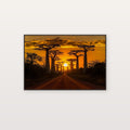 Avenue of the Baobabs Canvas Wall Art | Madagascar Print, African Landscape, Unique Trees, Stretched Canvas — madagascar-avenue-baobabs-canvas-print.jpg