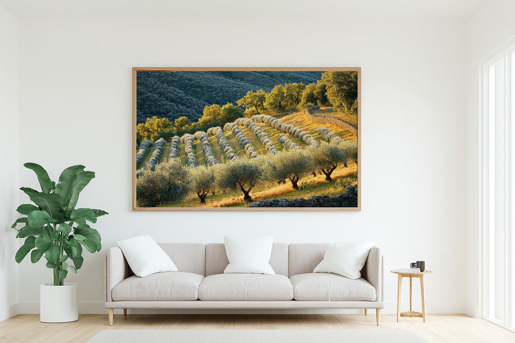 Cozy Cottage Mediterranean Olive Grove Canvas Wall Art — Sunlit Old-World Print for the Dining Room — mediterranean-olive-grove-living-room-wall-art.jpg