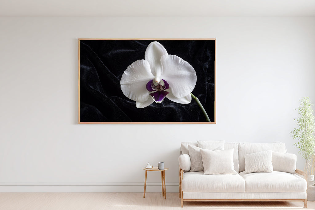 Hand-picked Moody Orchid Single Giclée Print — Dreamy Misty Bamboo for the Meditation Room, Ready-to-Hang Zen Seeker You Love Gift — moody-orchid-single-bedroom-wall-art.jpg