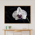 Hand-picked Moody Orchid Single Giclée Print — Dreamy Misty Bamboo for the Meditation Room, Ready-to-Hang Zen Seeker You Love Gift — moody-orchid-single-canvas-print.jpg