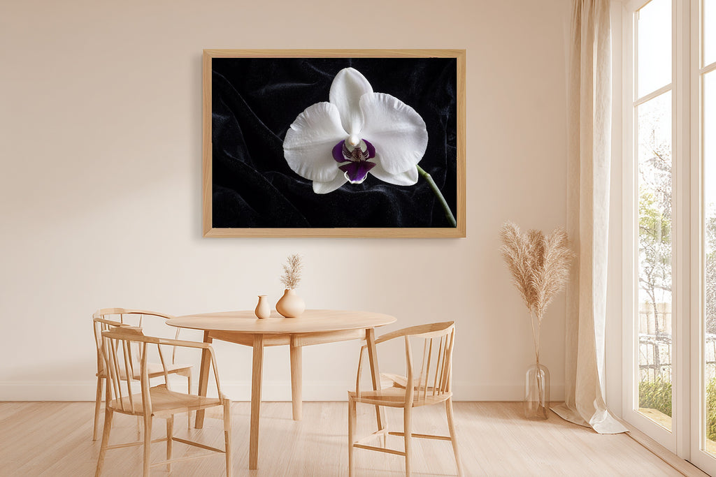 Hand-picked Moody Orchid Single Giclée Print — Dreamy Misty Bamboo for the Meditation Room, Ready-to-Hang Zen Seeker You Love Gift — moody-orchid-single-dining-room-wall-art.jpg