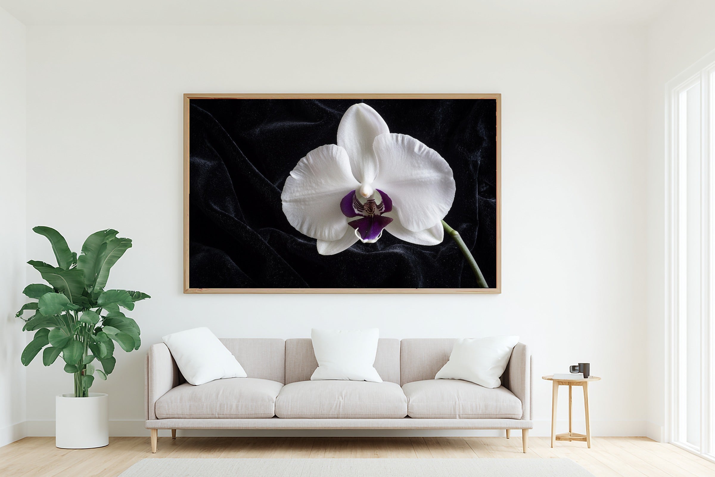 Hand-picked Moody Orchid Single Giclée Print — Dreamy Misty Bamboo for the Meditation Room, Ready-to-Hang Zen Seeker You Love Gift — moody-orchid-single-living-room-wall-art.jpg