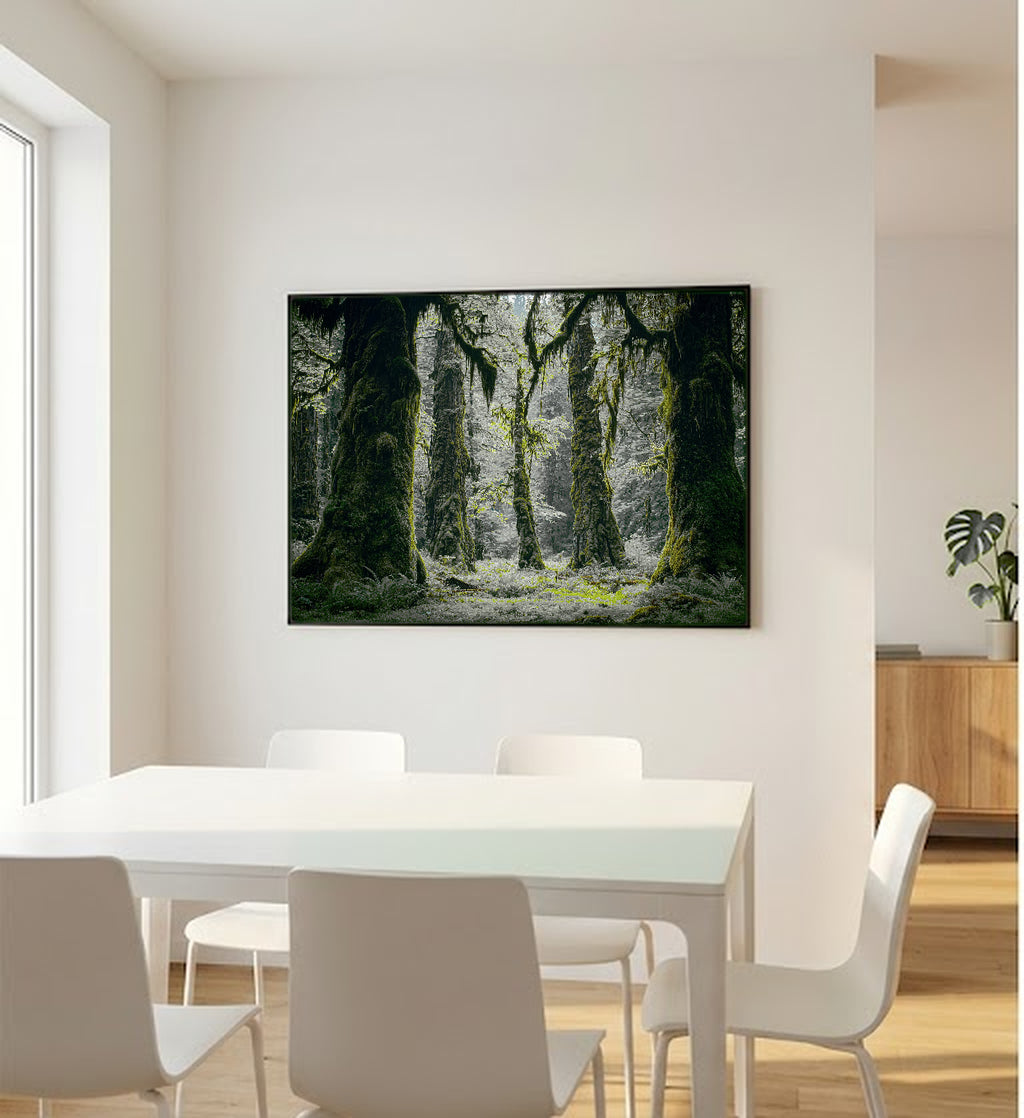 Olympic Rainforest Canvas Wall Art | Hoh Forest Print, Mossy Trees, Nature Decor, Stretched Canvas — olympic-rainforest-bedroom-wall-art.jpg