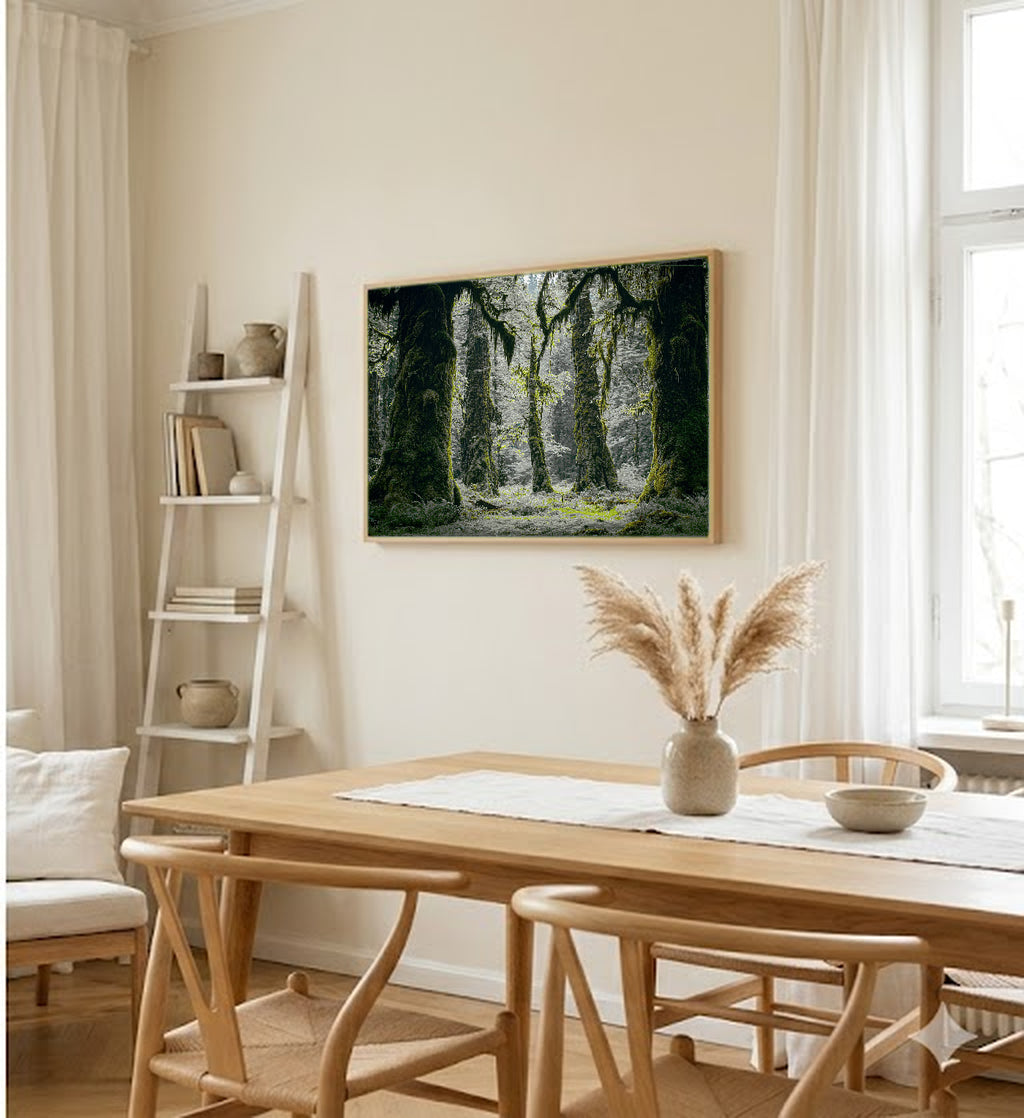 Olympic Rainforest Canvas Wall Art | Hoh Forest Print, Mossy Trees, Nature Decor, Stretched Canvas — olympic-rainforest-dining-room-wall-art.jpg