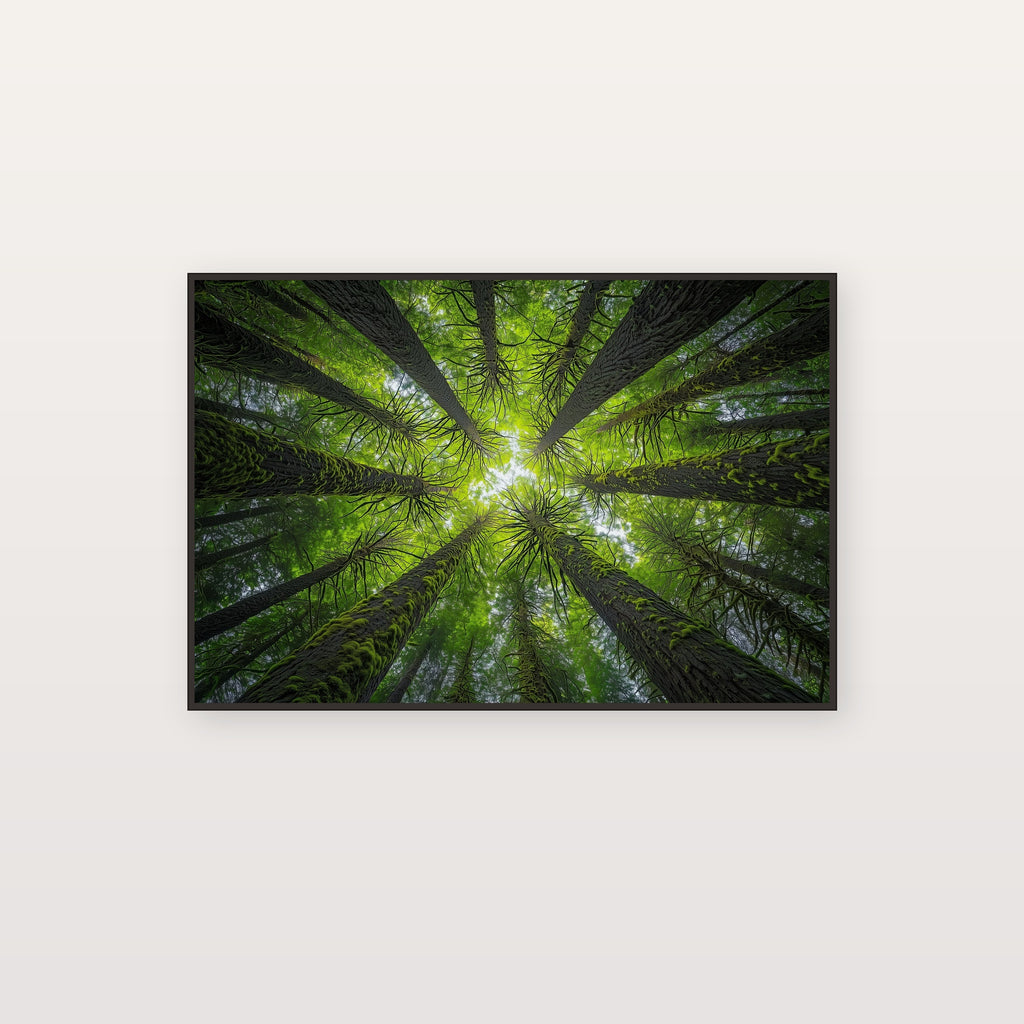 Olympic Cathedral Canvas Wall Art | Moss-Draped Spruce Print, Pacific Northwest Decor, Stretched Canvas — olympic-rainforest-mossy-cathedral-canvas-print.jpg