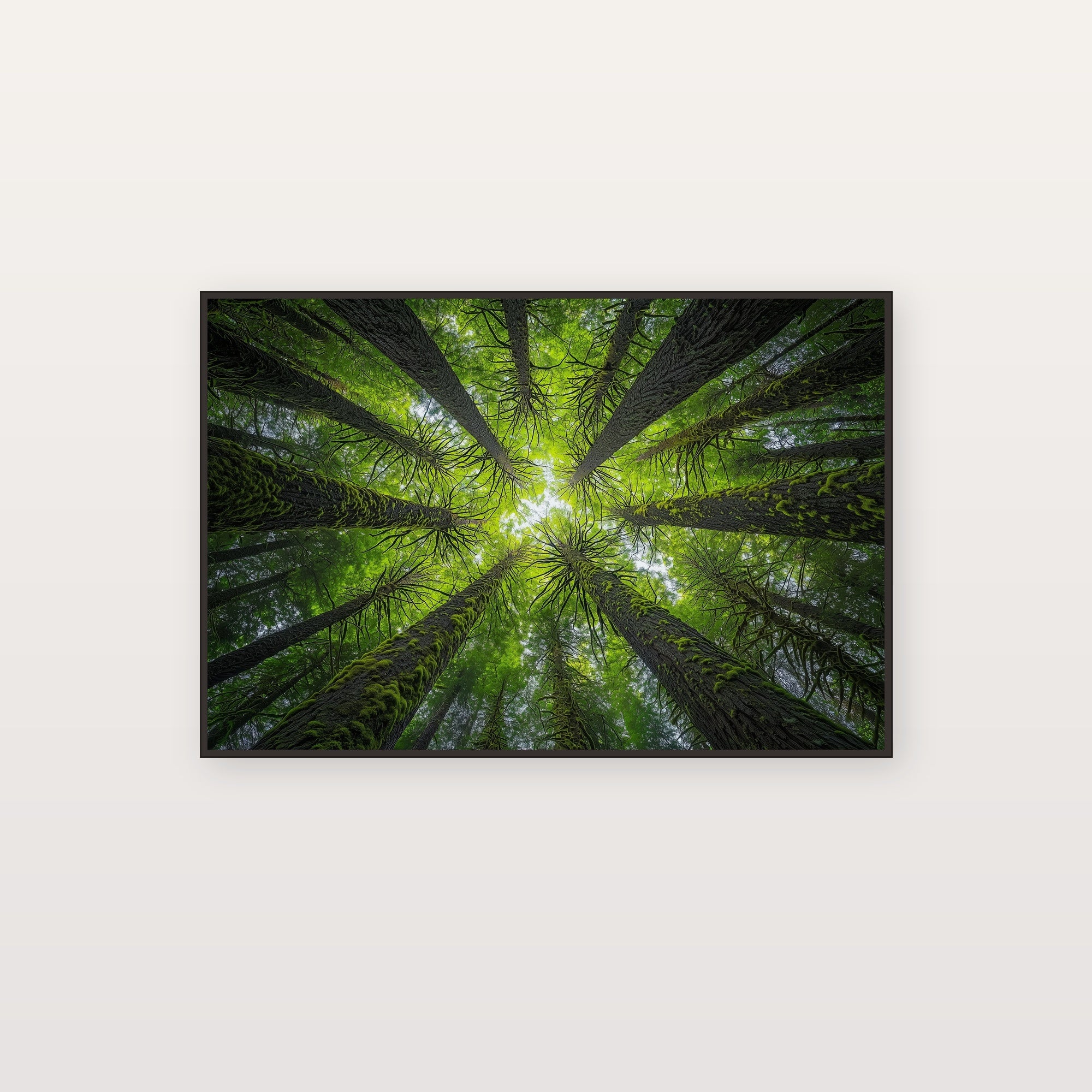 Olympic Cathedral Canvas Wall Art | Moss-Draped Spruce Print, Pacific Northwest Decor, Stretched Canvas — olympic-rainforest-mossy-cathedral-canvas-print.jpg