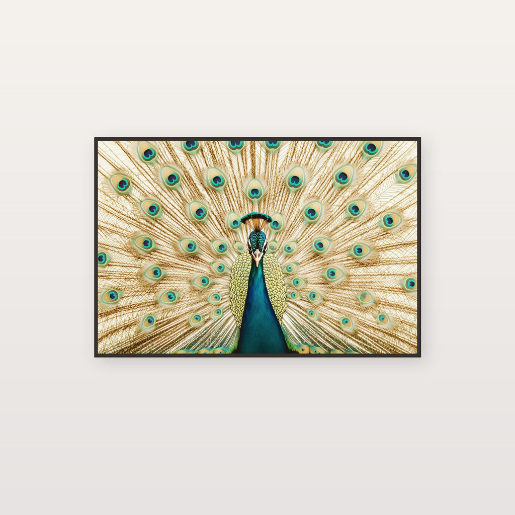 Peacock Fan Canvas Wall Art | Art Nouveau Display Print, Glamour Decor, Stretched Canvas — peacock-fan-art-nouveau-canvas-print.jpg