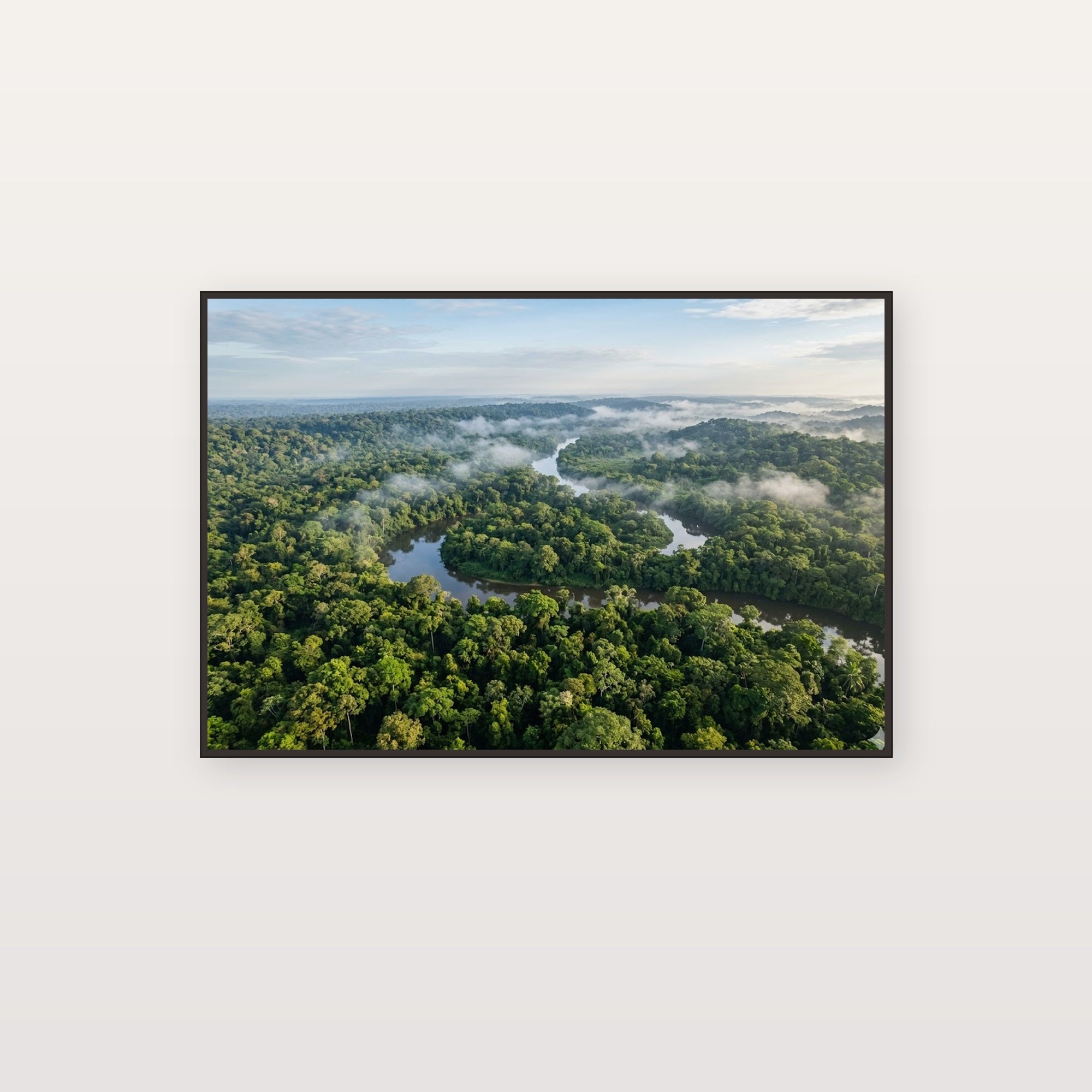 Rainforest Canopy Canvas Wall Art - Aerial Jungle Print, Tropical Green, Nature Photography, Stretched Canvas — rainforest canopy aerial canvas print