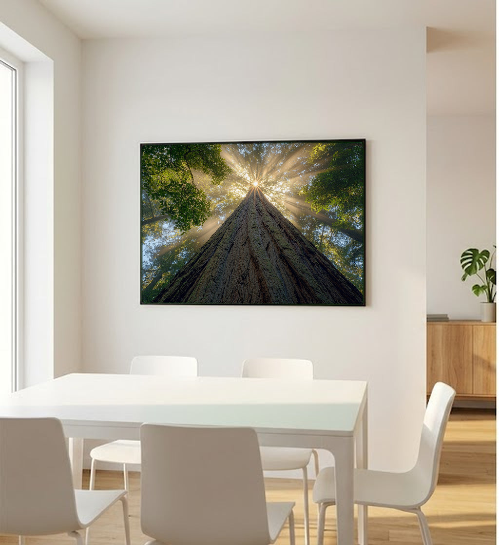 Redwood Cathedral Canvas Wall Art | Looking Up Print, Pacific Northwest Forest Decor, Stretched Canvas — redwood-cathedral-up-bedroom-wall-art.jpg
