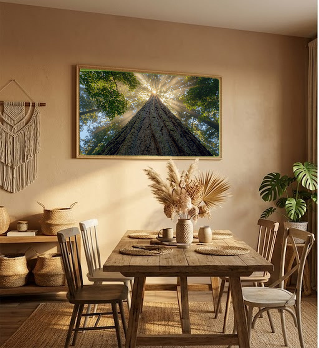 Redwood Cathedral Canvas Wall Art | Looking Up Print, Pacific Northwest Forest Decor, Stretched Canvas — redwood-cathedral-up-hallway-wall-art.jpg