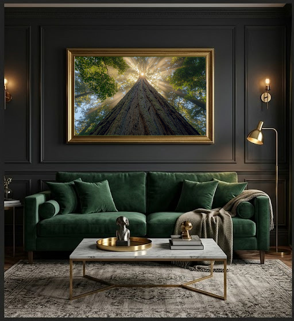 Redwood Cathedral Canvas Wall Art | Looking Up Print, Pacific Northwest Forest Decor, Stretched Canvas — redwood-cathedral-up-office-wall-art.jpg