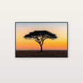 Sahel Acacia Canvas Wall Art | Ochre Sunset Silhouette Print, African Savanna Decor, Stretched Canvas — sahel-acacia-tree-ochre-sunset-canvas-print.jpg