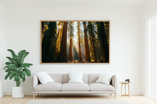 A Dreamy Sequoia Retro Poster Soft Painterly Print — Dreamy Wall Art for the Living Room, Giclée on Canvas — sequoia-retro-poster-living-room-wall-art.jpg