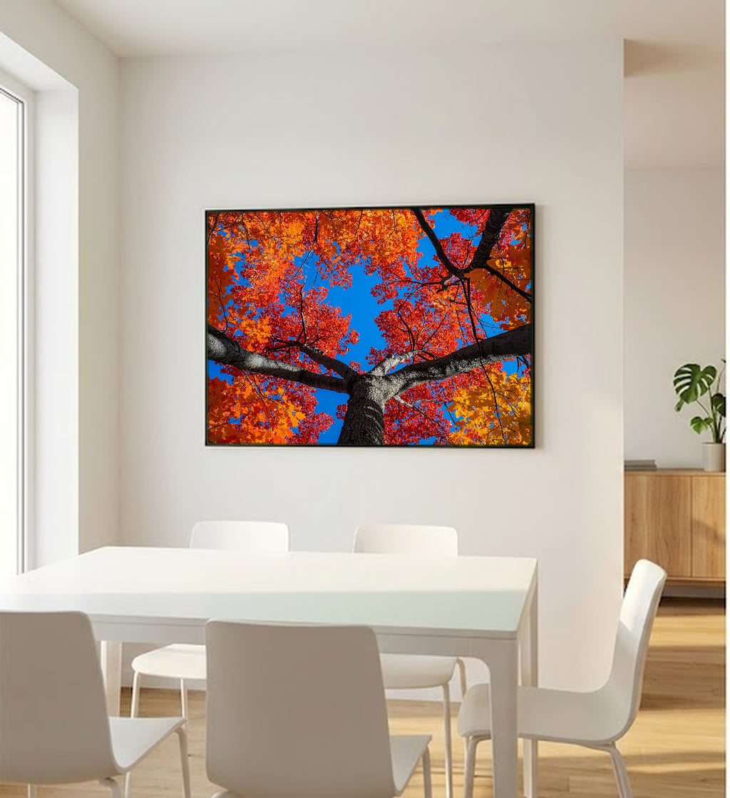 Sugar Maple Canvas Wall Art | Fall Canopy Looking Up Print, New England Decor, Stretched Canvas — sugar-maple-canopy-up-bedroom-wall-art.jpg